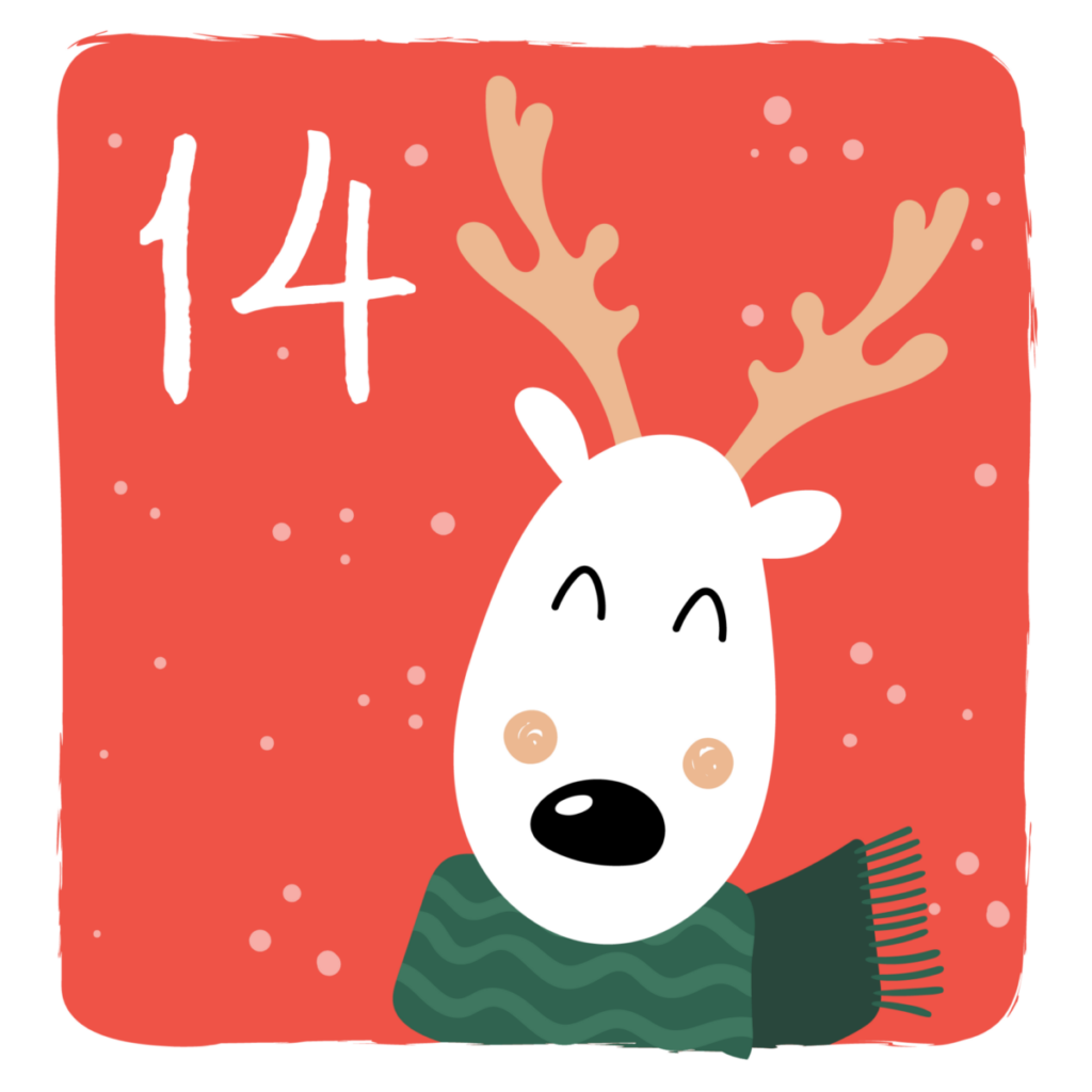 Caritaslichter- Tür 14