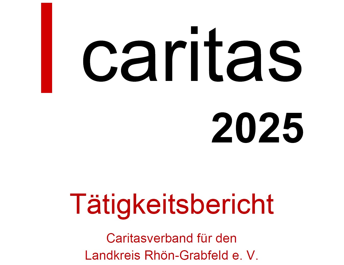 Tätigkeitsbericht 2025